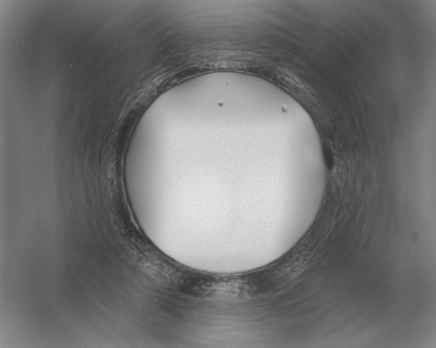 X0000052980306200508051048