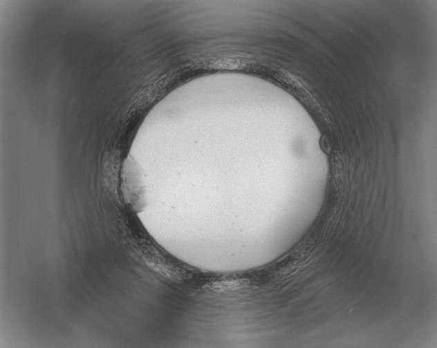 X0000052980307200508051048