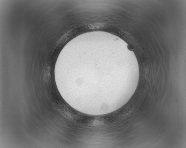 X0000052980308200508051048