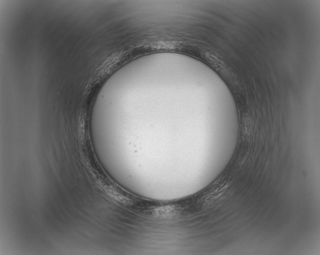 X0000052980309200508051048