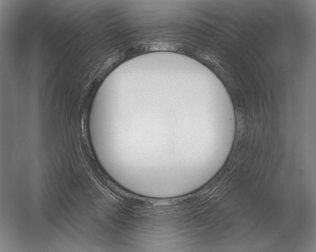 X0000052980310200508051048