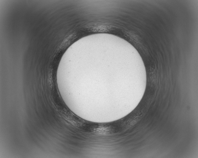 X0000052980312200508051048