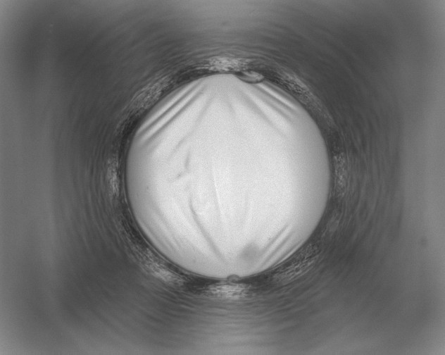 X0000052980313200508051048