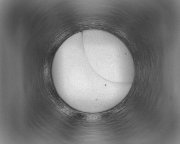 X0000052980314200508051048