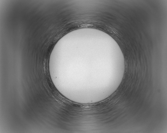 X0000052980315200508051048