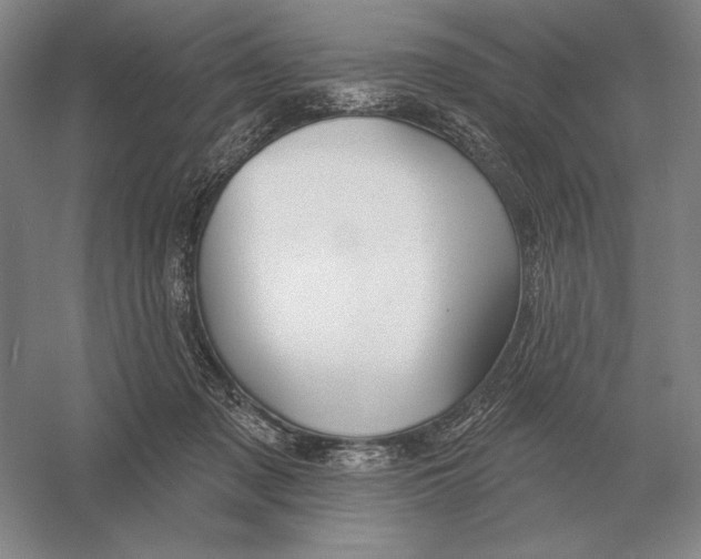 X0000052980317200508051048