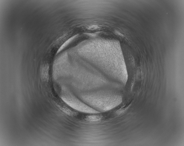 X0000052980319200508051048