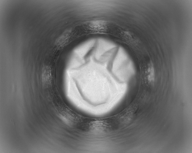 X0000052980320200508051048