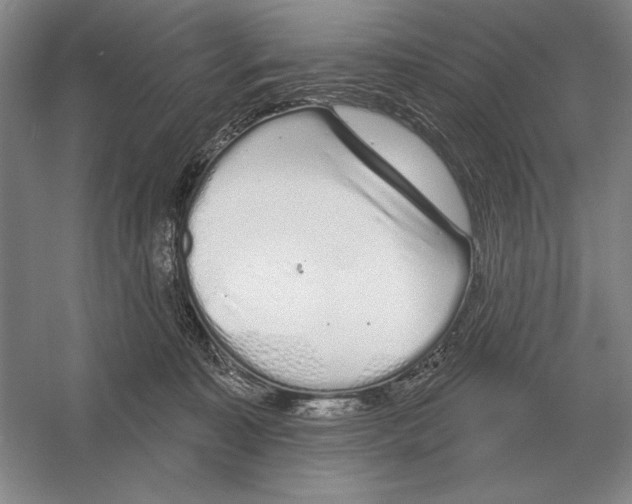 X0000052980323200508051047