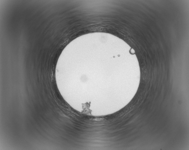 X0000052980324200508051047