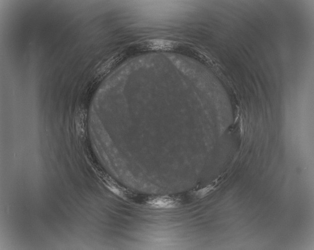 X0000052980325200508051047