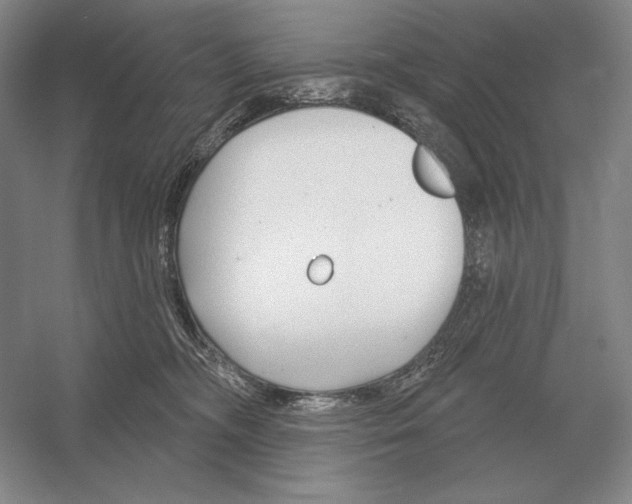 X0000052980326200508051047