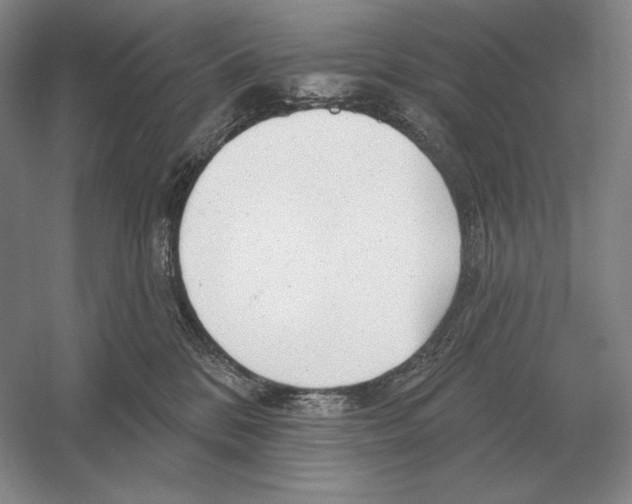 X0000052980328200508051047