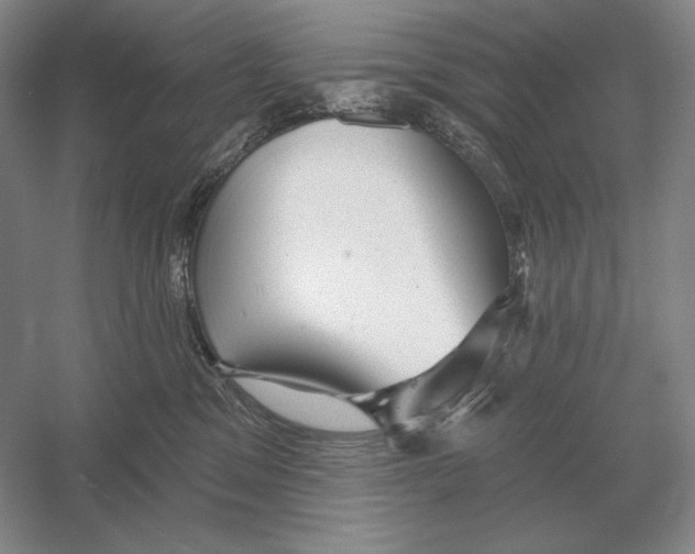 X0000052980329200508051047