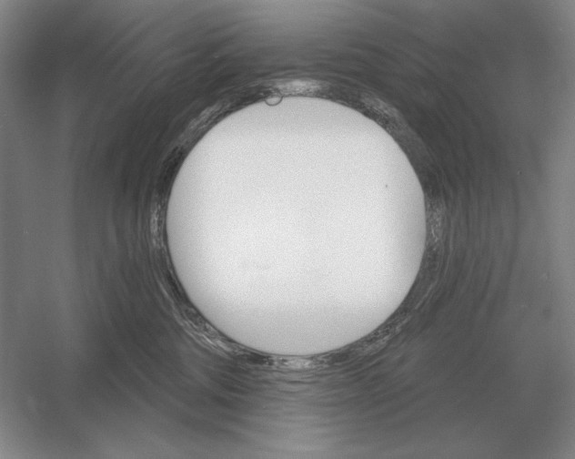 X0000052980330200508051047