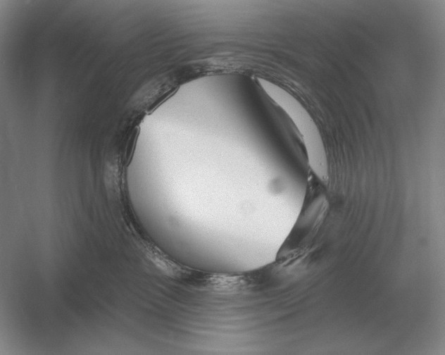 X0000052980333200508051047