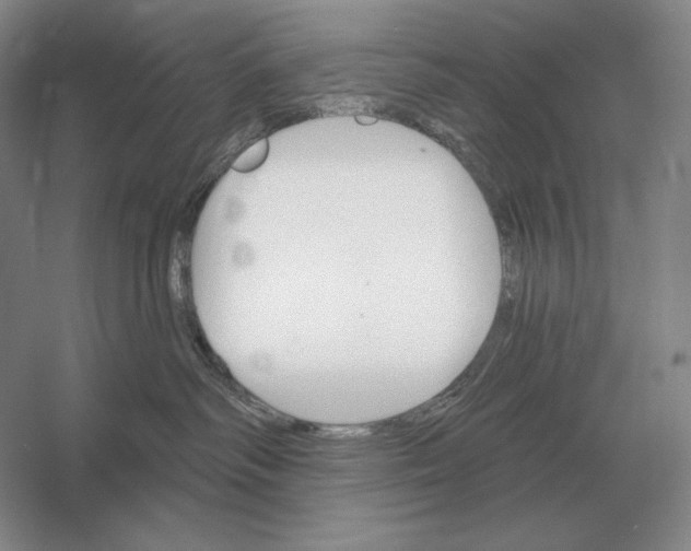 X0000052980334200508051047