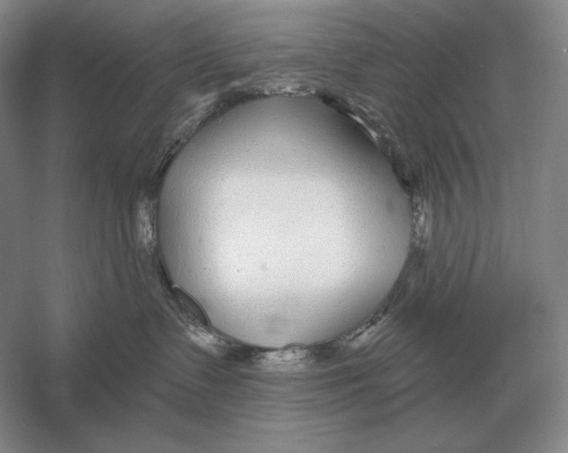 X0000052980335200508051047