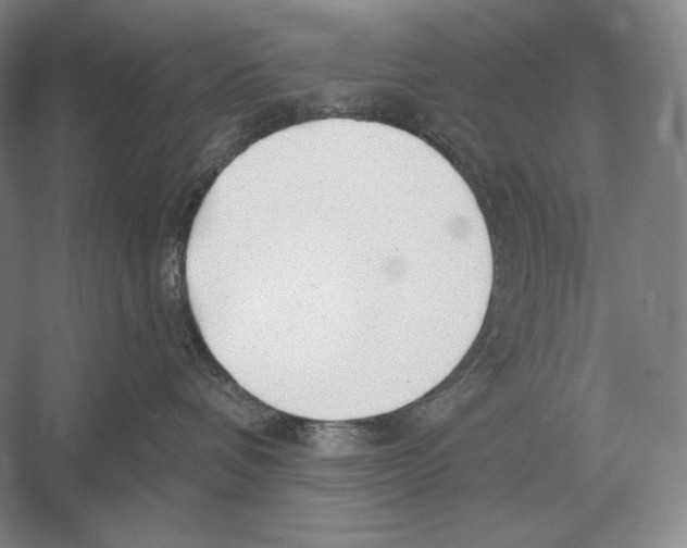 X0000052980336200508051047