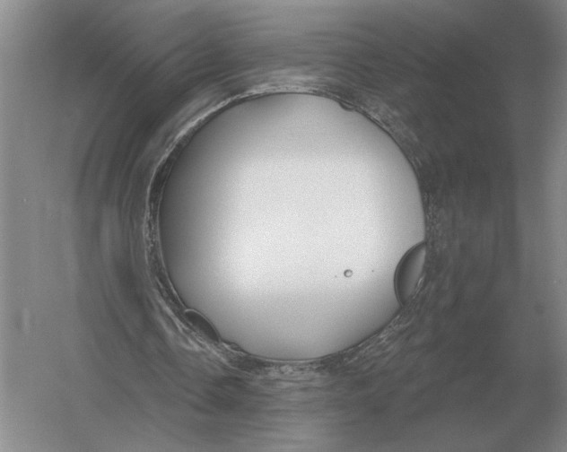 X0000052980338200508051046