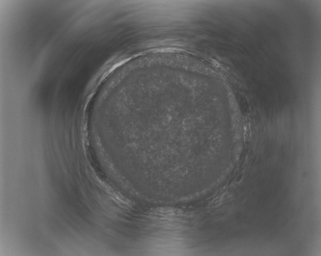 X0000052980339200508051046