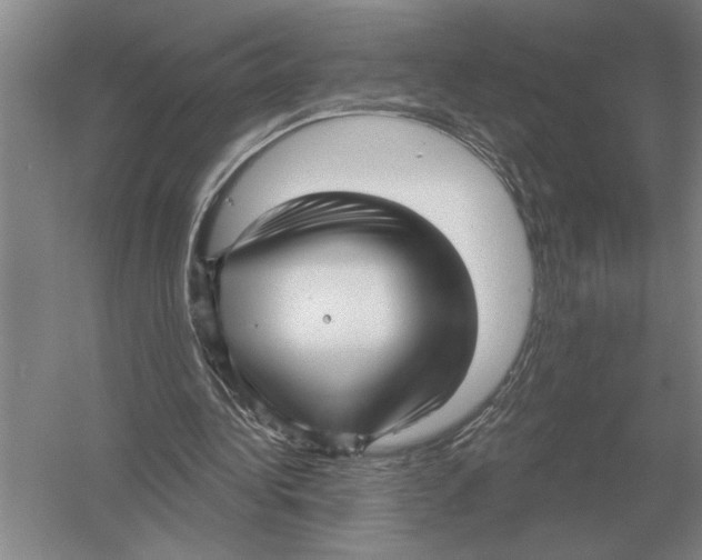 X0000052980340200508051046