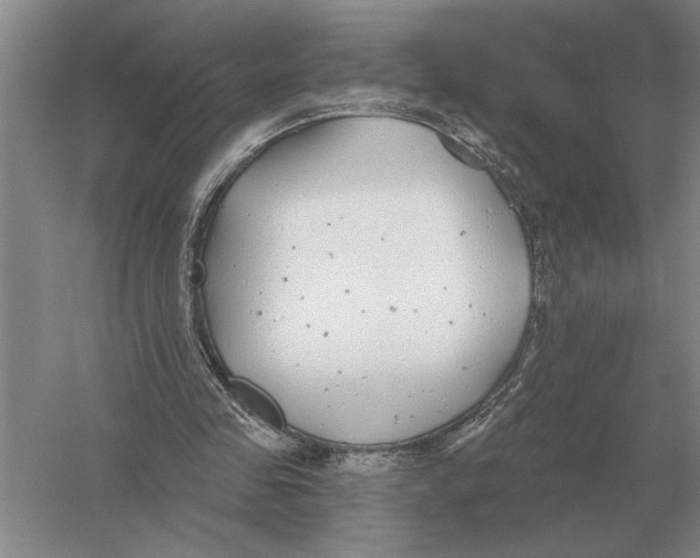 X0000052980341200508051046