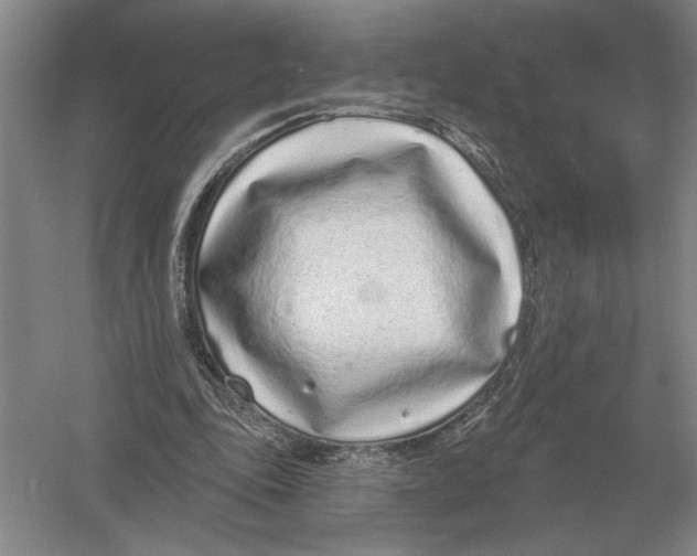 X0000052980343200508051047