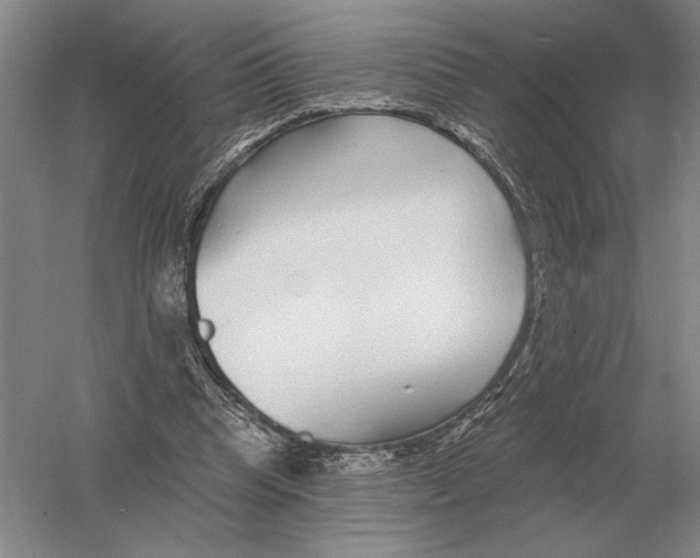 X0000052980345200508051047