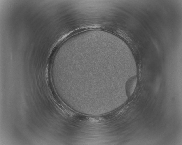 X0000052980346200508051047