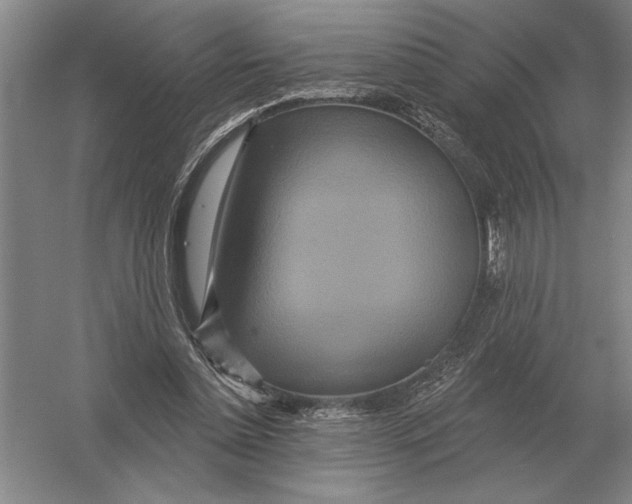 X0000052980348200508051047