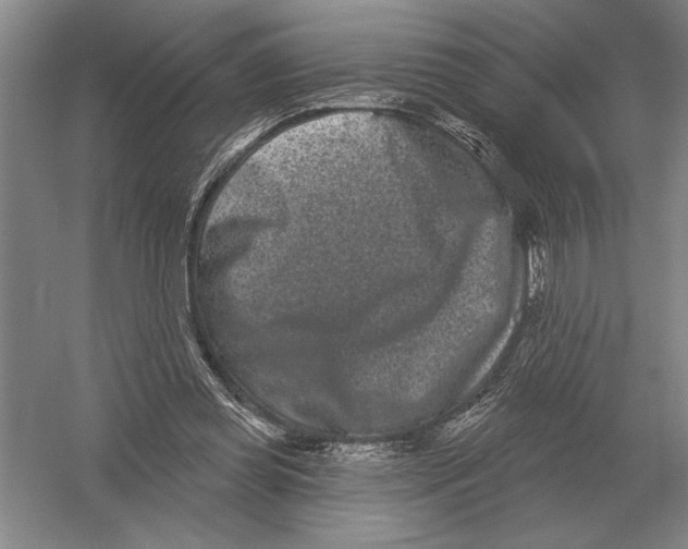 X0000052980349200508051047