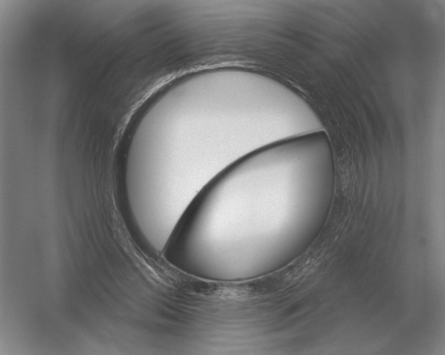 X0000052980350200508051047