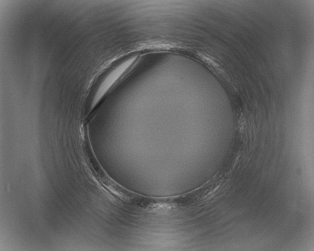 X0000052980352200508051047