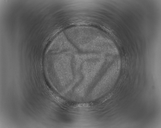 X0000052980353200508051047