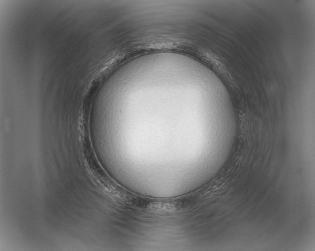 X0000052980354200508051047