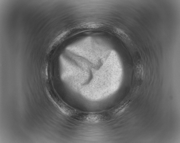 X0000052980358200508051047