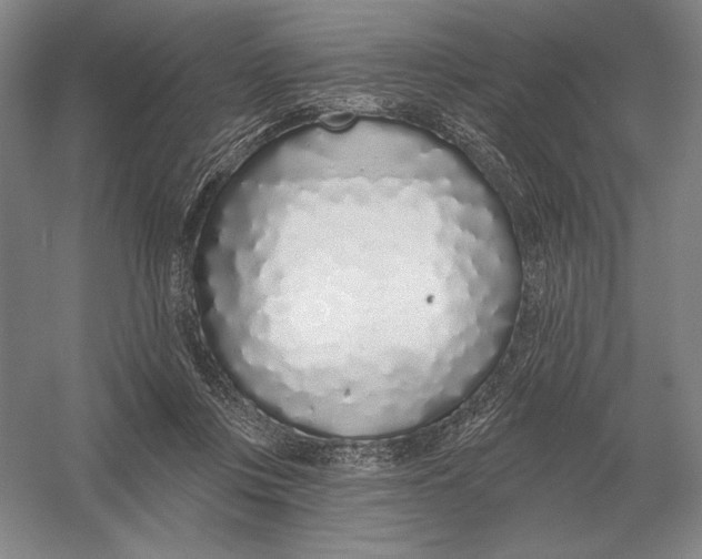 X0000052980359200508051047