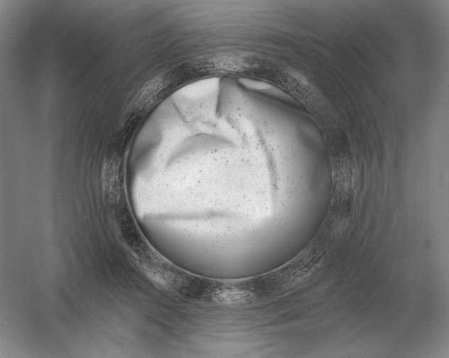 X0000052980360200508051047