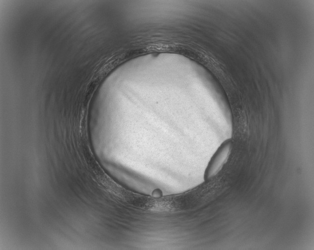 X0000052980361200508051047