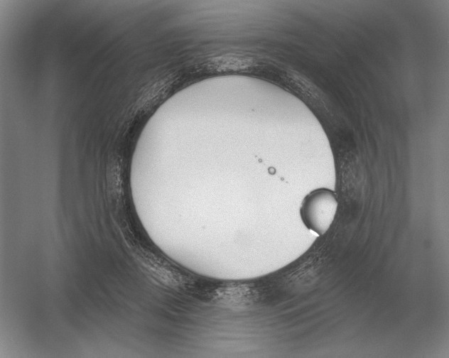 X0000052980362200508051047