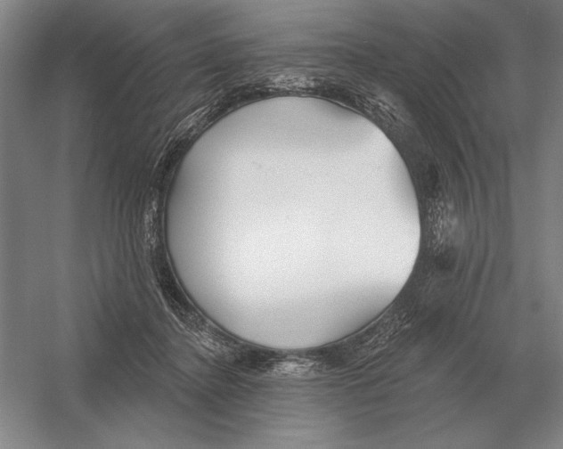 X0000052980364200508051047