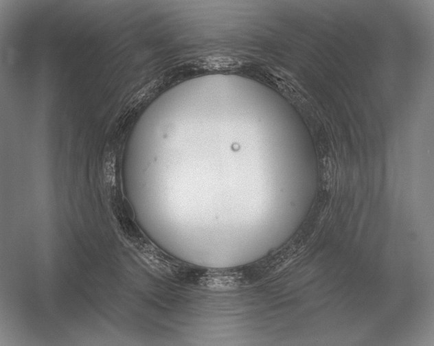 X0000052980368200508051047