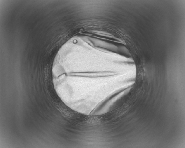 X0000052980369200508051047