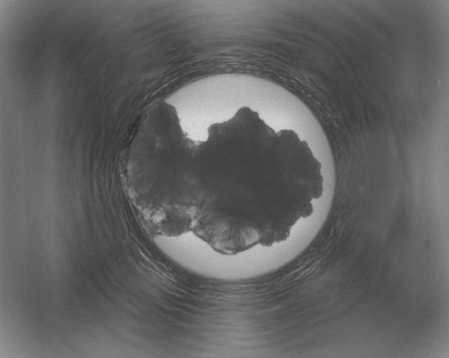 X0000052980371200508051047