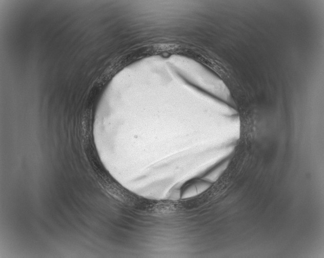 X0000052980373200508051047