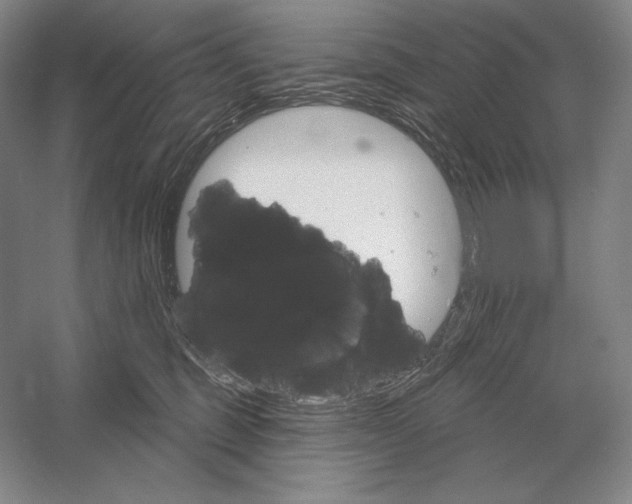 X0000052980375200508051047