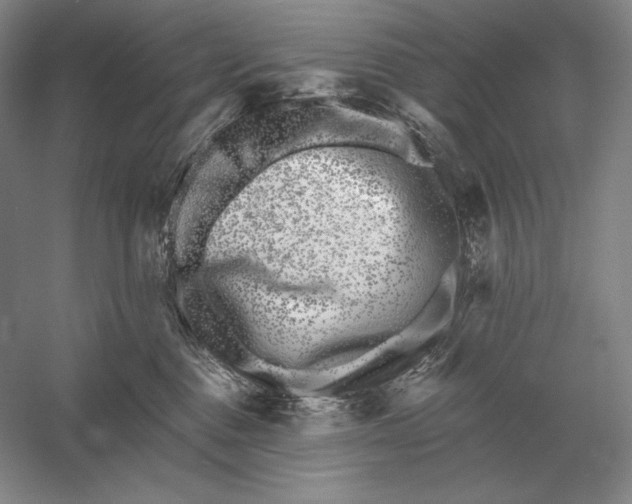 X0000052980376200508051047