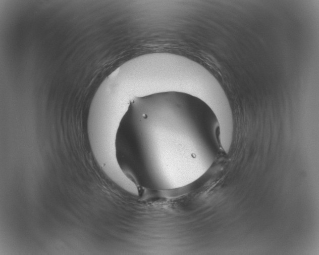 X0000052980377200508051047