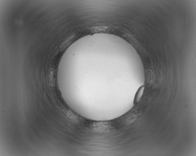 X0000052980378200508051047